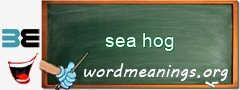 WordMeaning blackboard for sea hog